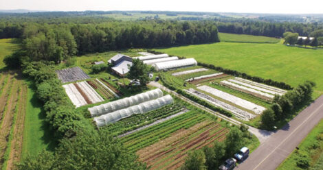 Market Gardening: How to Make a Living on 1.5 Acres